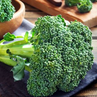 Proszek z brokułów (Brassica oleracea)