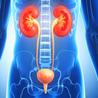 Poprawia przepływ moczu